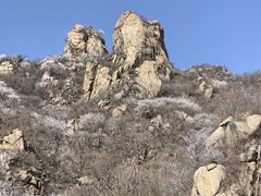 -大岭沟猕猴桃谷风景区