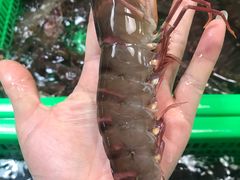 九节虾-都斛海鲜街