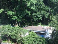 -杭州花家山庄