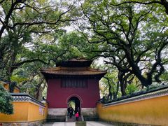 -普陀山风景名胜区-法雨禅寺