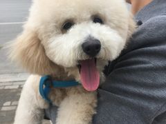 -联萌宠物医院(猫病专科)