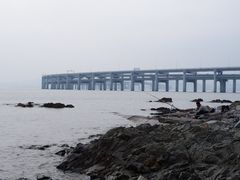 -星海湾跨海大桥