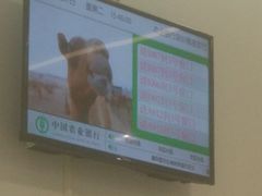 -中国农业银行(深圳罗湖支行)