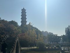 -江心屿景区