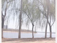 -东郊湿地公园