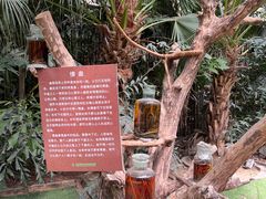 -呀路古热带植物园
