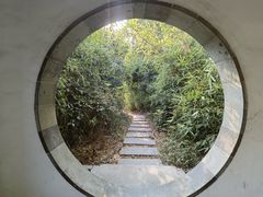 -八大山人梅湖景区