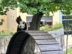 -西安秦岭野生动物园