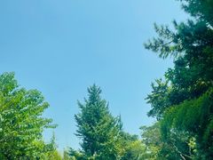 -达蓬山旅游度假区