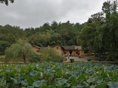 -韶山毛泽东同志故居