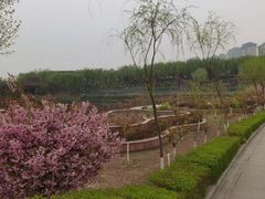 -西安汉城湖景区