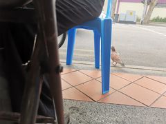 -新加坡Zam Zam餐馆