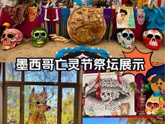 -三里屯东五街银杏大道