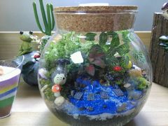 -A+匠心DIY手工坊·首饰·微景观