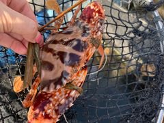 -海上驿站渔家菜馆