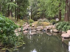 -共青国家森林公园-南大门停车场