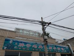 -胖子老牌优质水煎包