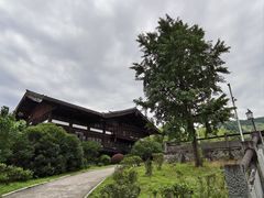 -大唐贡茶院