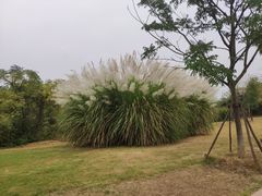 -盘龙城国家考古遗址公园