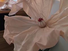 -富记鱼蛋粉(西村店)