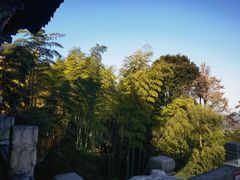 -九华山风景区