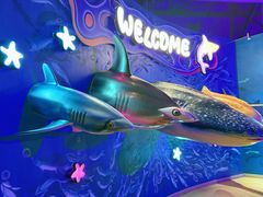 -烟台海昌鲸鲨海洋公园