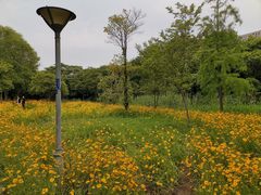 -高子水居