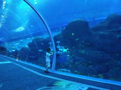 -成都浩海立方海洋公园