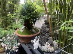 -竹吟山房