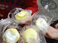 -猫咪博物馆(顶澳仔猫街店)