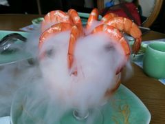 -海桐