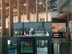 -虹桥机场国航贵宾室v8