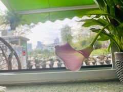 -BIGHEAD大头家咖啡馆(蛇口店)