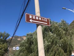 -幽岚山·童话森林