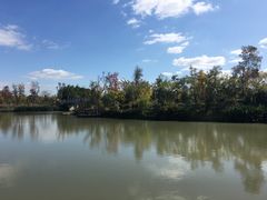 -上海长兴岛郊野公园