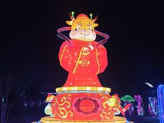 -南宫五洲植物乐园
