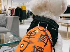 -王府井奥莱临潼小镇(临潼店)