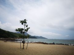 -南丫岛