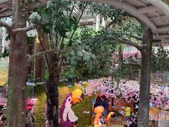 -正佳雨林生态植物园
