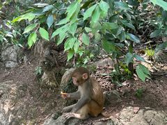 -黔灵山公园