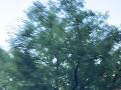 -原山国家森林公园