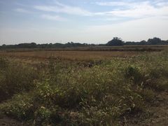 -梁鸿国家湿地公园