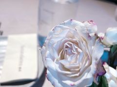 -boundaries籬苑(瑞光创意工厂-贰号院店)