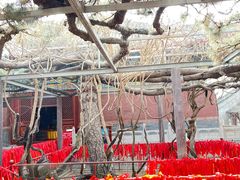 -红螺寺