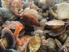 -大锅强·蒸海鲜青岛菜(吾悦广场店)