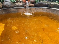 -余姚阳明温泉山庄