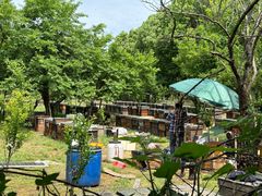 -敬亭山风景名胜区