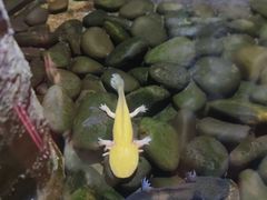 -青青世界