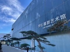 -罗红摄影艺术馆