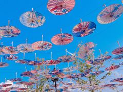 -蓝精灵乐园·世茂精灵之城主题乐园